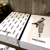 printemps-louvre10