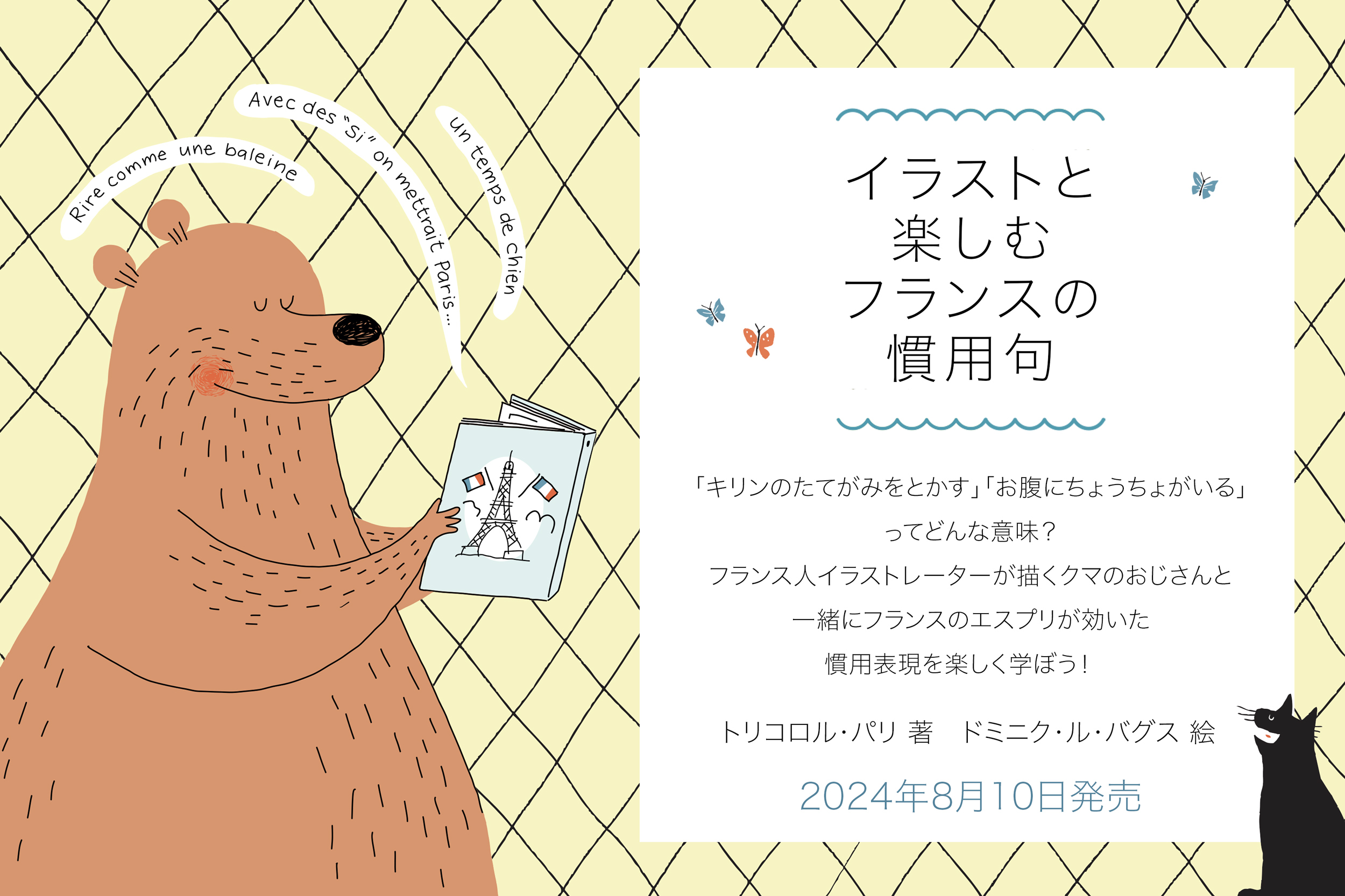 Bretagne フランス語 ブリュターニュ 旅 ガイドブック イラスト 洋書 Bretagne フランス語 ブリュターニュ 旅 ガイドブック イラスト 洋書