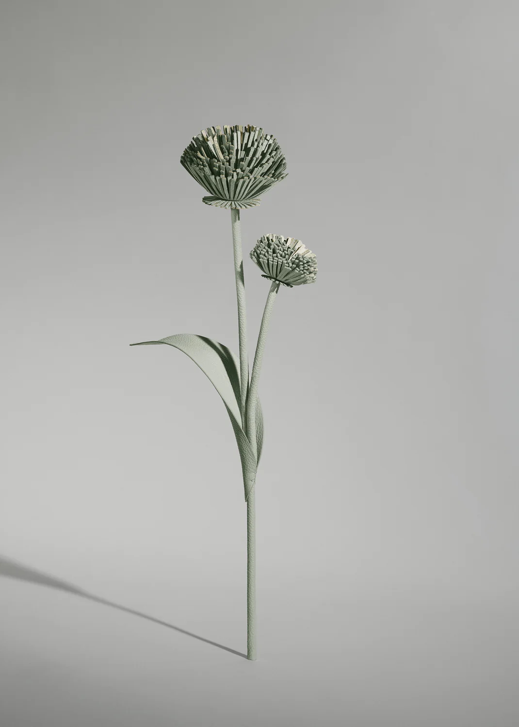 polene-fleur12.jpg
